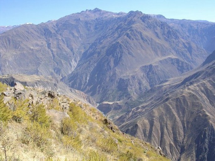 Cañon del Colca