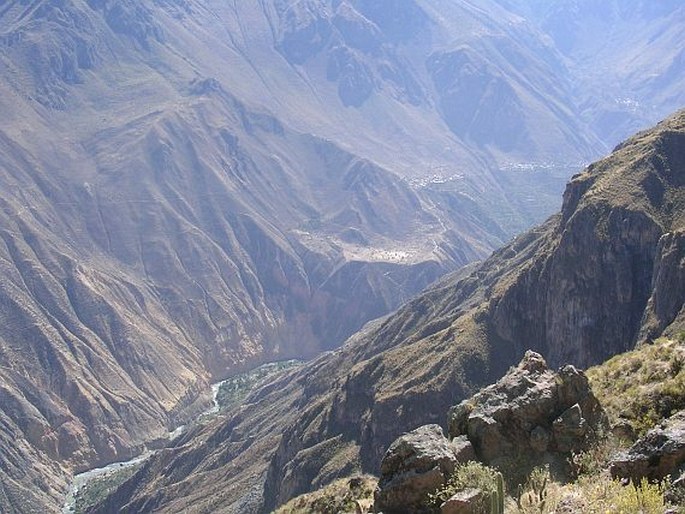 Cañon del Colca