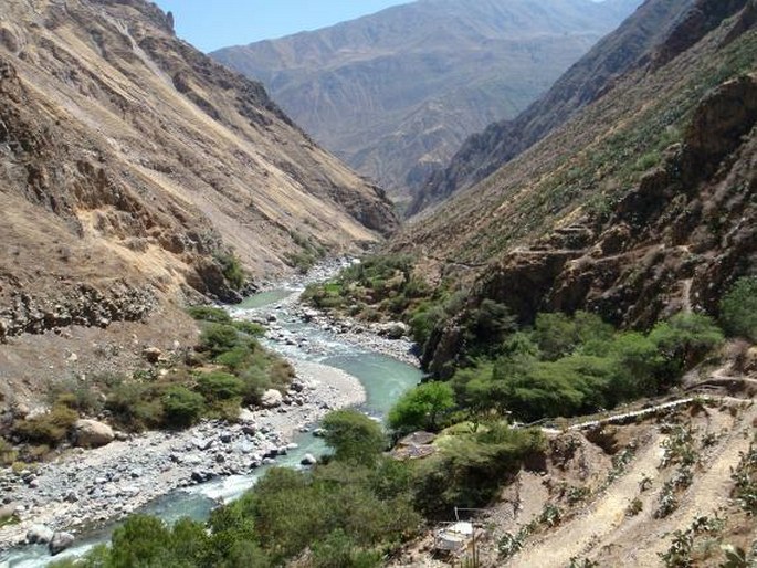 Cañon del Colca