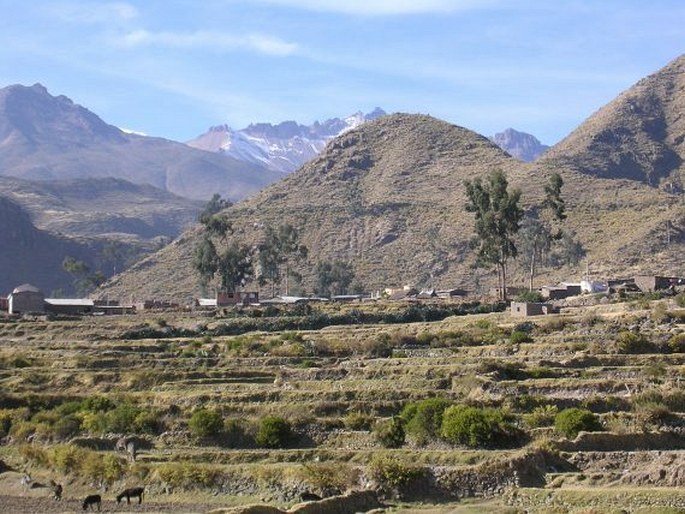 Cañon del Colca