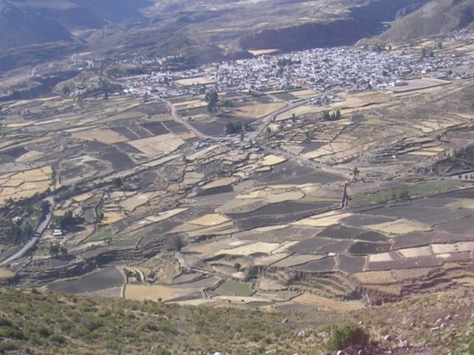 Cañon del Colca