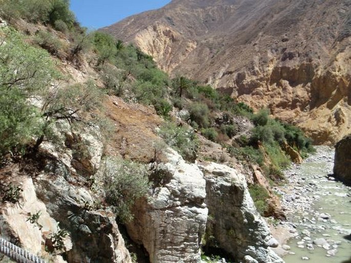 Cañon del Colca