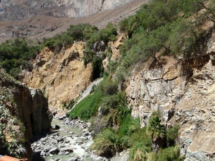 Cañon del Colca