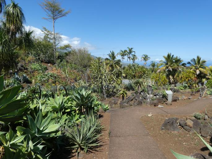 Conservatoire Botanique National de Mascarin