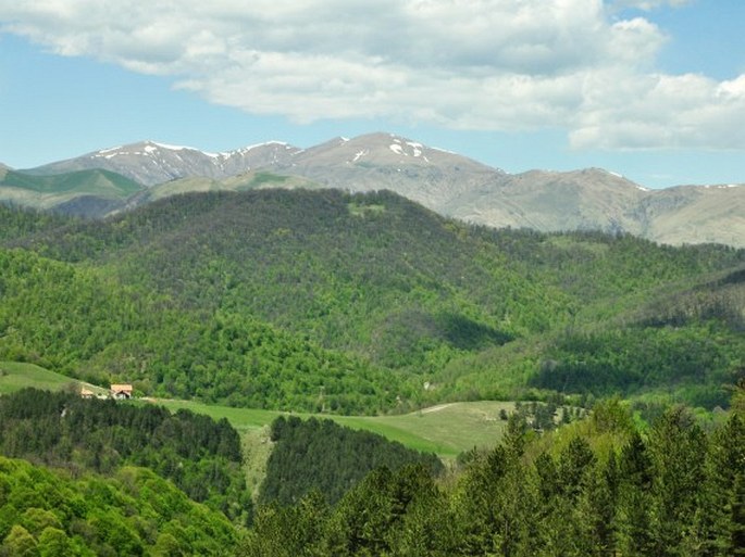 Diližanský národní park