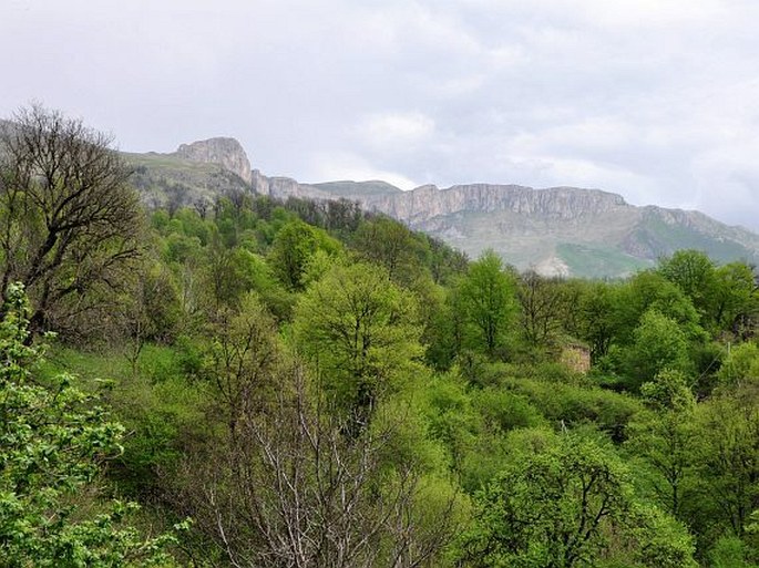 Diližanský národní park