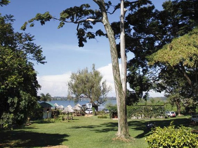 Entebbe Botanic Gardens