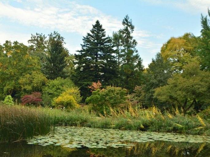 Zahrady světa: Německo, Frankfurt nad Mohanem, Botanische Garten Frankfurt am Main