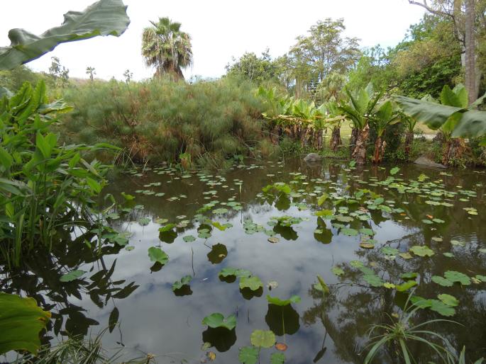 Jardin d’Eden - Réunion, Saint Gilles Les Bains