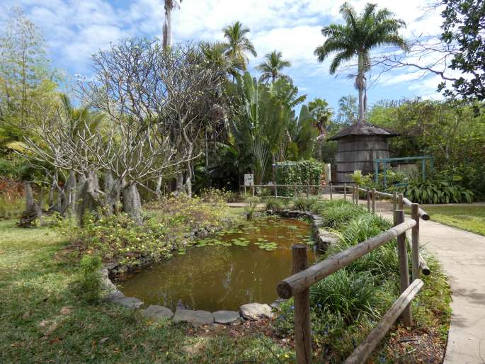 Zahrady světa: Réunion, Saint Gilles Les Bains, Jardin d’Eden