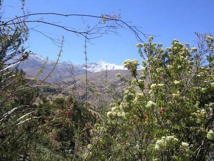 Parque Nacional Huascarán