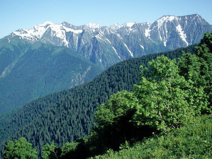 západní cíp Velkého Kavkazu