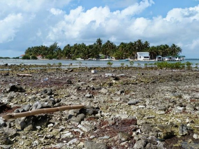 Belize Barrier Reef Reserve System