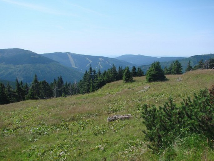 Krkonoše