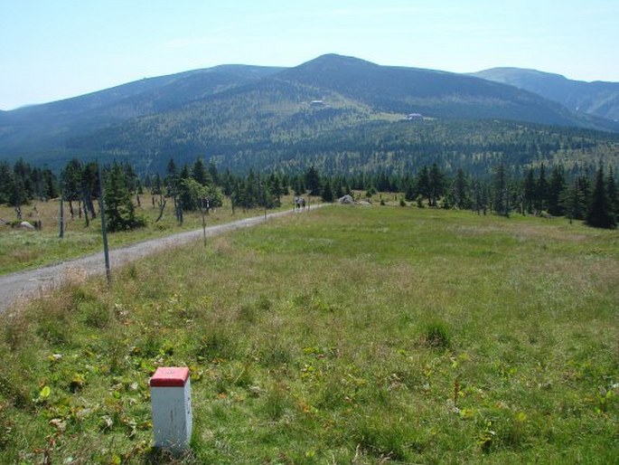 Krkonoše