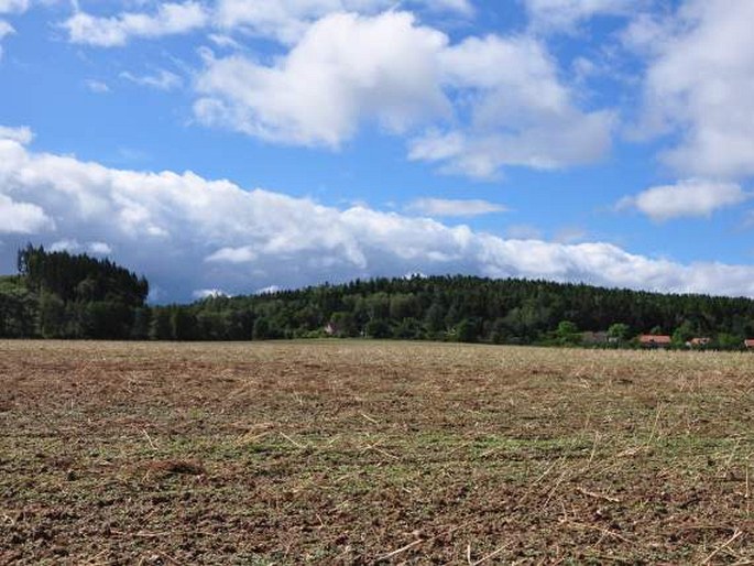 Jesenická pahorkatina, Krtské skály – přírodní památka