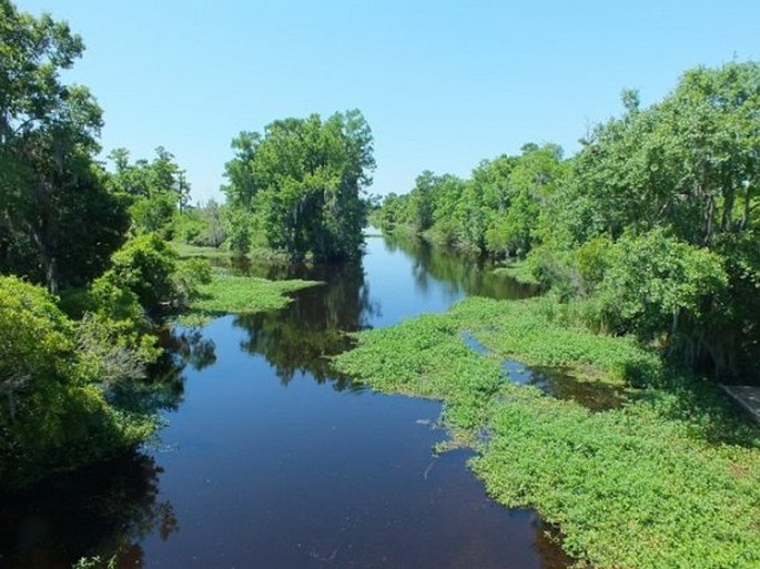 Jean Lafitte National Historical Park and Preserve