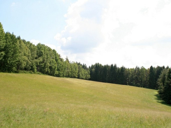 Český les, Lipovka