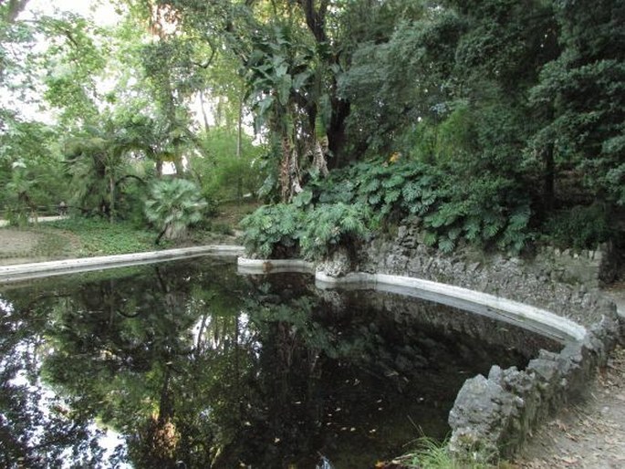 Zahrady světa: Portugalsko, Lisabon, Jardim Botânico da Universidade de Lisboa