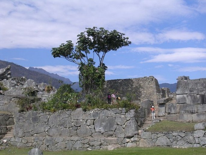 Santuario histórico de Machu Picchu