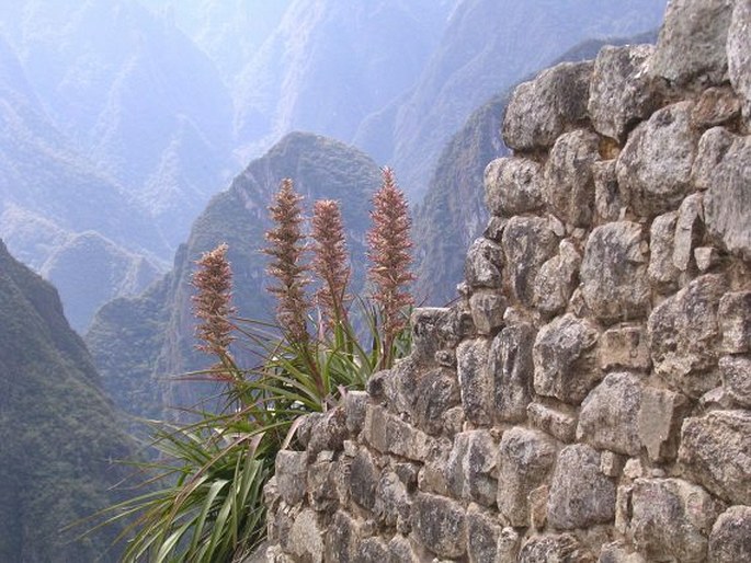 Santuario histórico de Machu Picchu