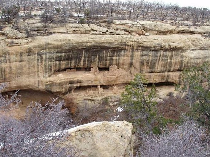 Mesa Verde National Park