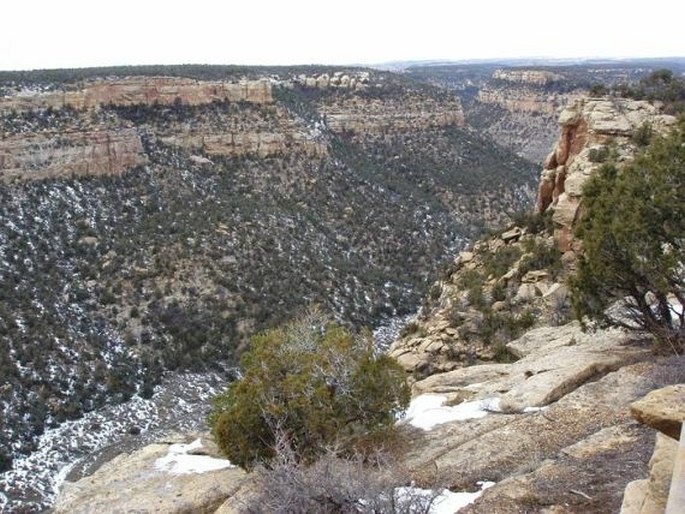 Mesa Verde National Park