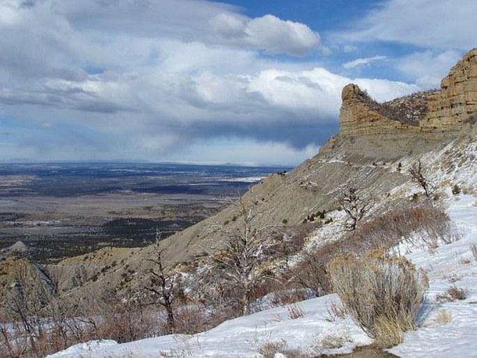 Mesa Verde National Park