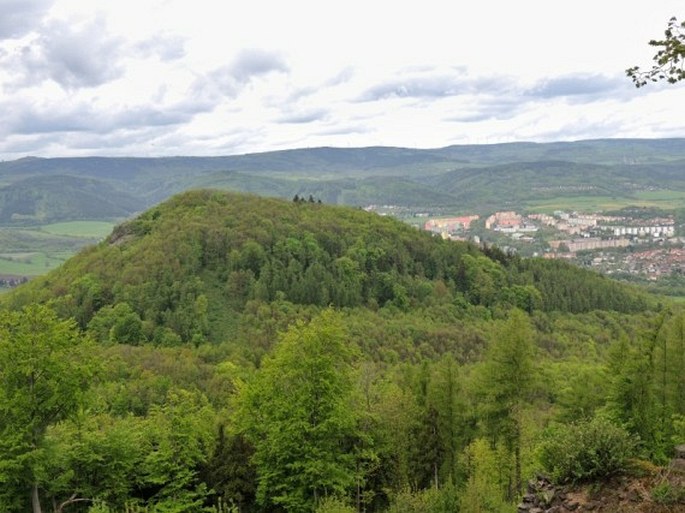 Doupovská pahorkatina, Mravenčák - přírodní památka