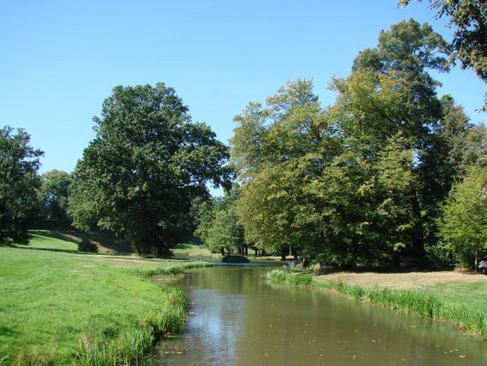 Muskauer Park, Park Mużakowski