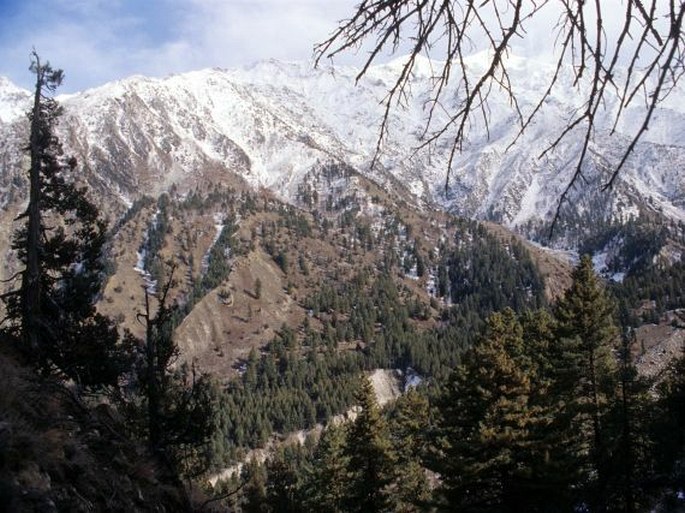 Nanga Parbat