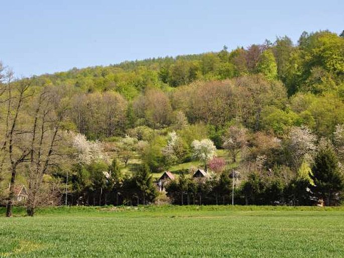 Kutnohorská pahorkatina, Na Obůrce – přírodní památka