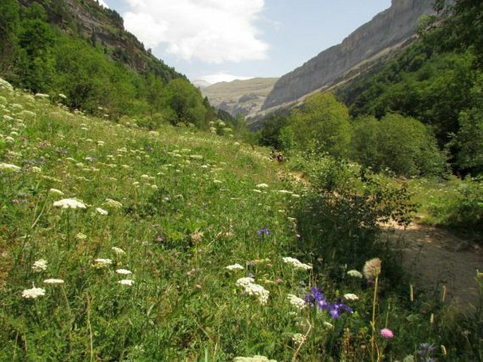 Ordesa y Monte Perdido