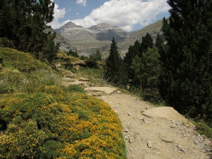 Ordesa y Monte Perdido