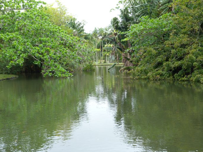 Sir Seewoosagur Ramgoolam Botanic Garden