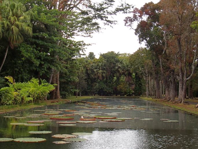 Sir Seewoosagur Ramgoolam Botanic Garden