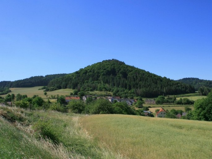 Sušicko-horaždovické vápence, Pučanka - přírodní rezervace