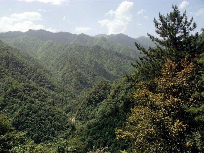 Hory střední Číny – pohoří Čchin-ling Šan (Qinling Shan) a Ta-pa Šan (Daba Shan)