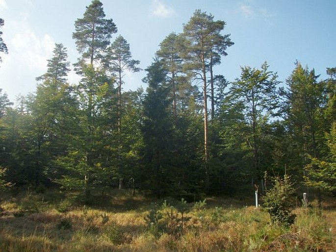 Ransko - národní přírodní rezervace