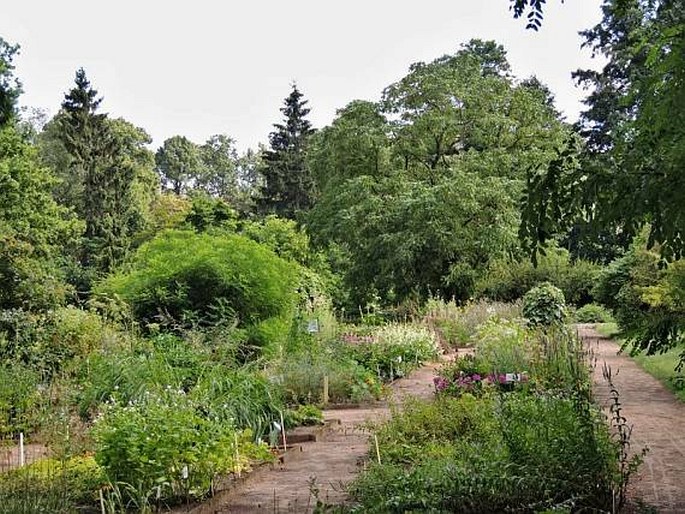 Botanická zahrada Lotyšské univerzity, Riga