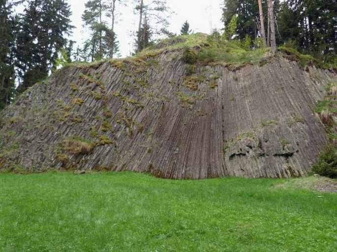 Halštrovská vrchovina, Rotava – přírodní památka