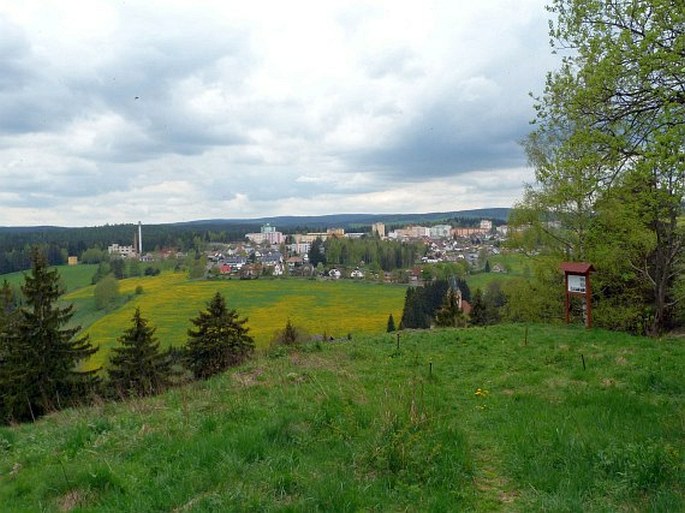 Rotava