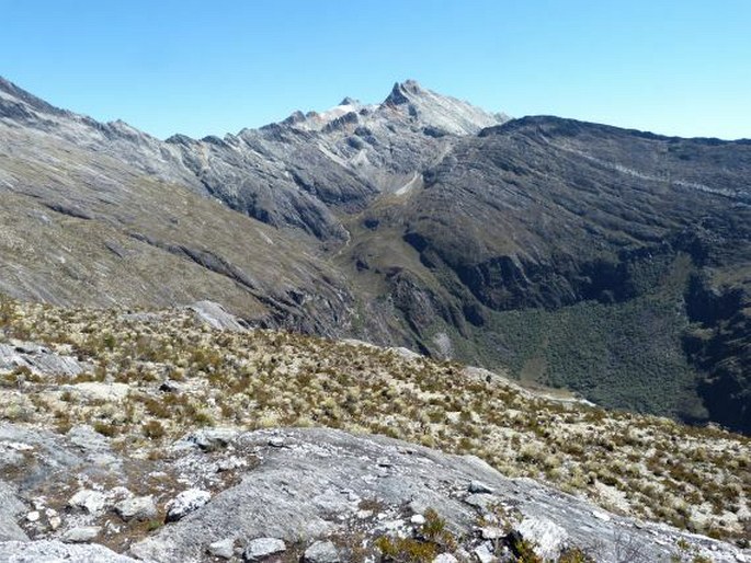Neotropis – Andská oblast – Severoandská provincie