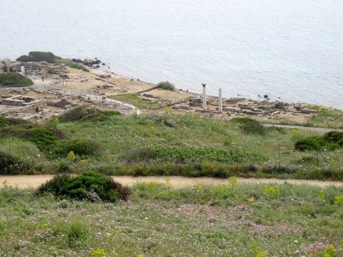 Penisola del Sinis