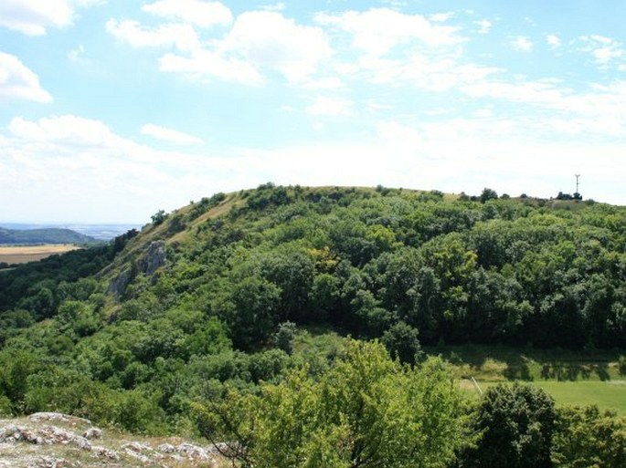 Pavlovské kopce, Tabulová