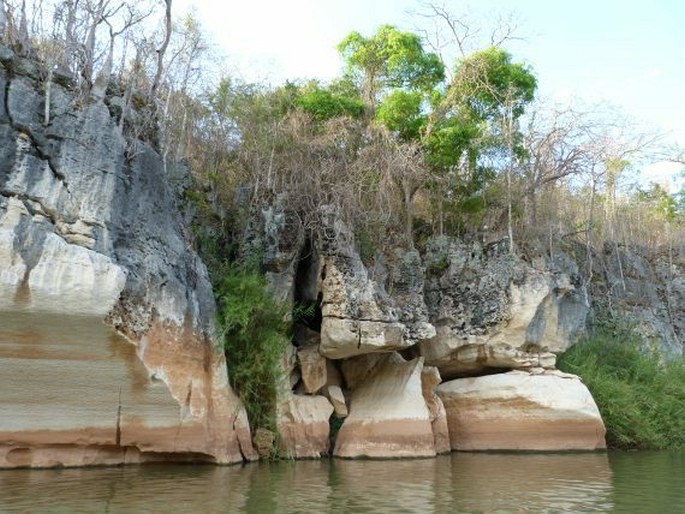 Tsingy de Bemaraha