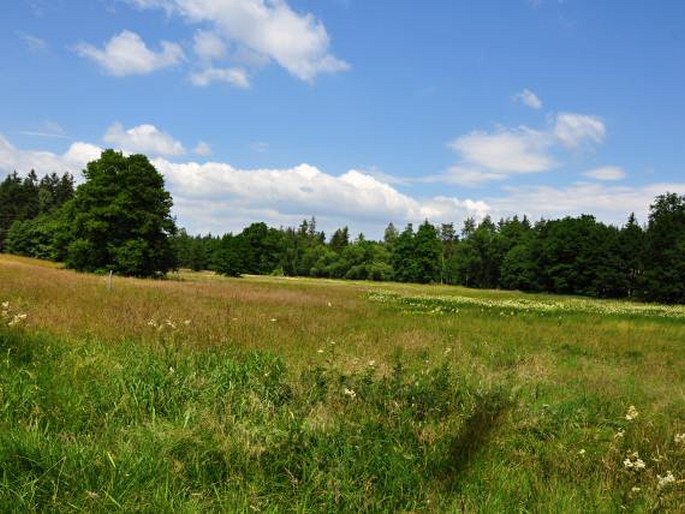 Žďárské vrchy, Utopenec – přírodní památka