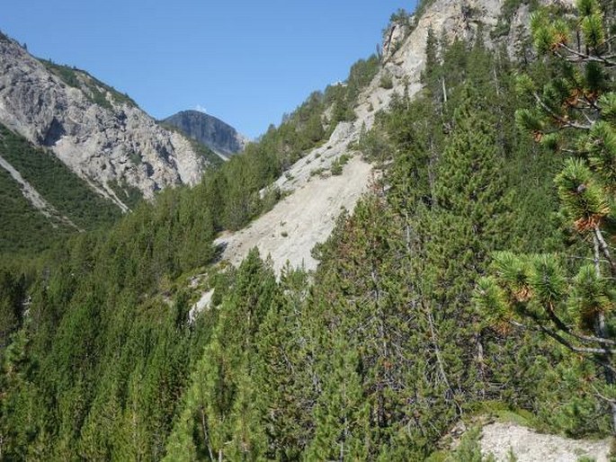 Val Müstair Parc Naziunal