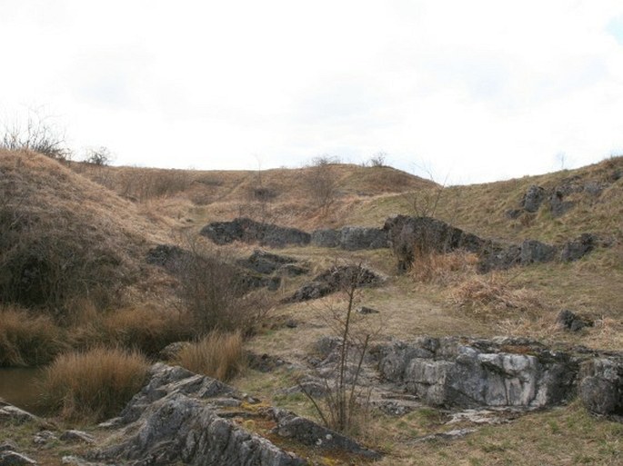 Vápenice - přírodní památka