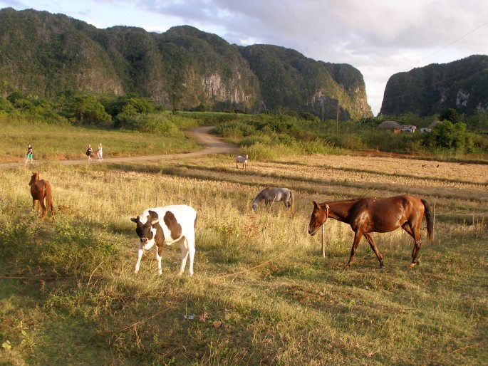 Valle de Viñales